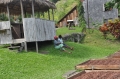grenada, caribbean, west indie-160